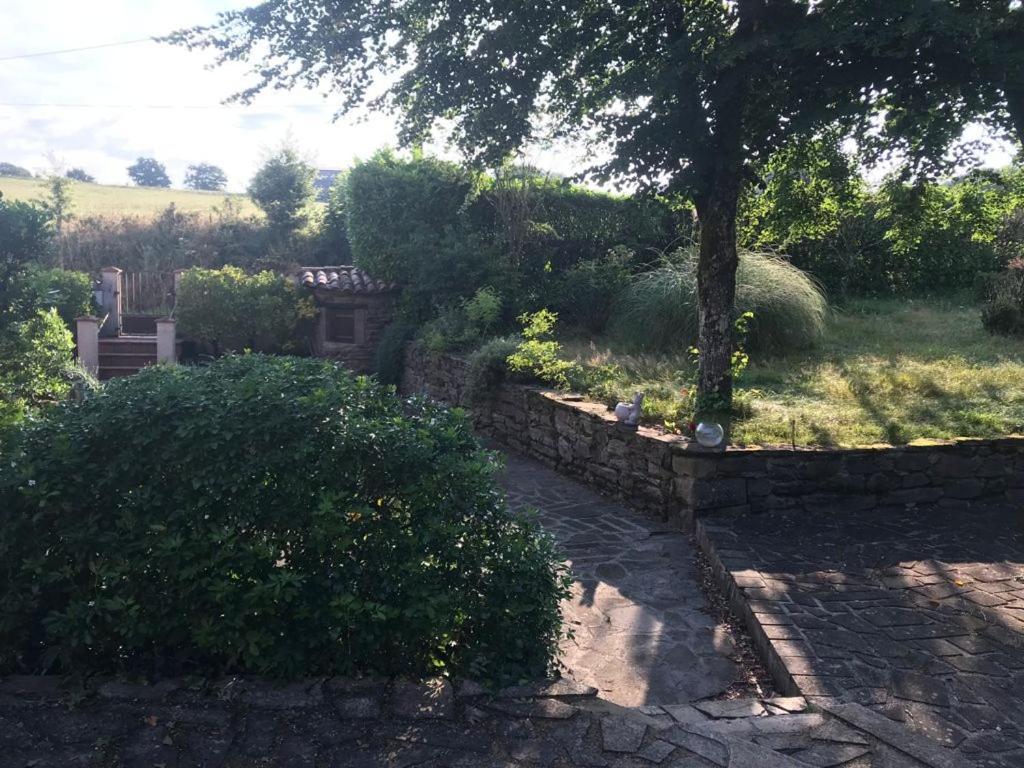 Le Gite De Las Peyros Mirandol-Bourgnounac Kültér fotó