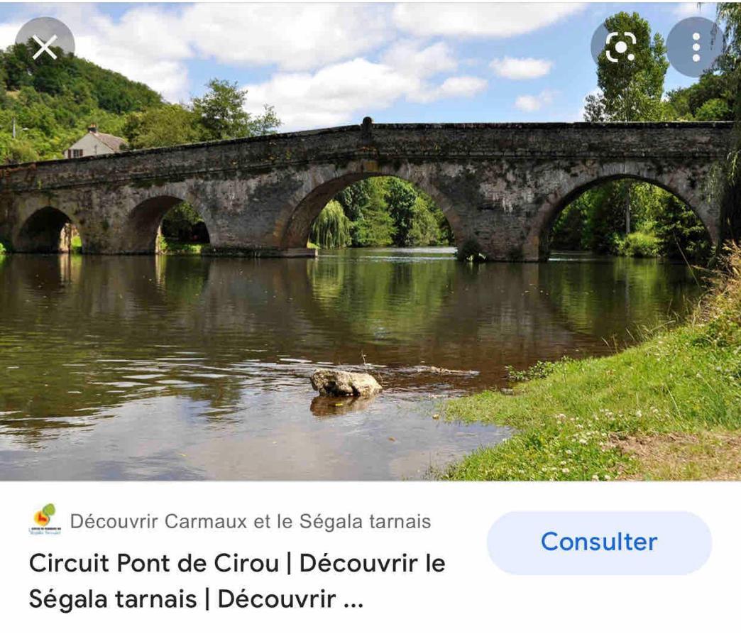 Le Gite De Las Peyros Mirandol-Bourgnounac Kültér fotó